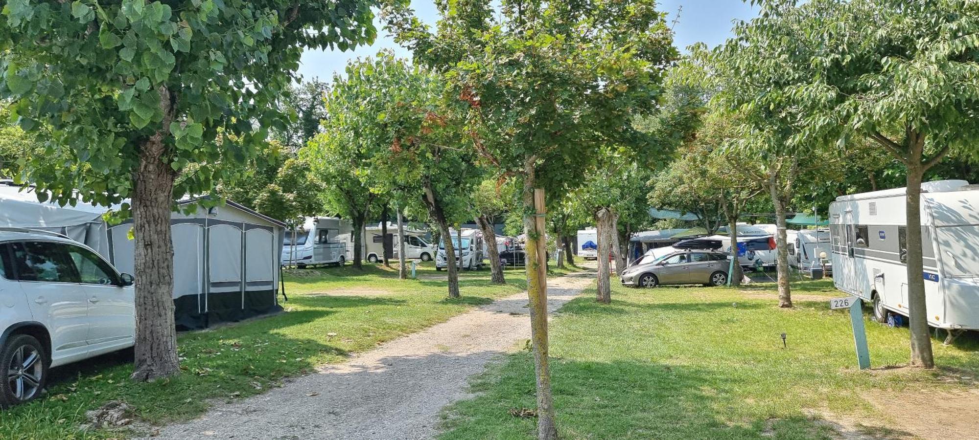 Camping Belvedere لاتيزي المظهر الخارجي الصورة